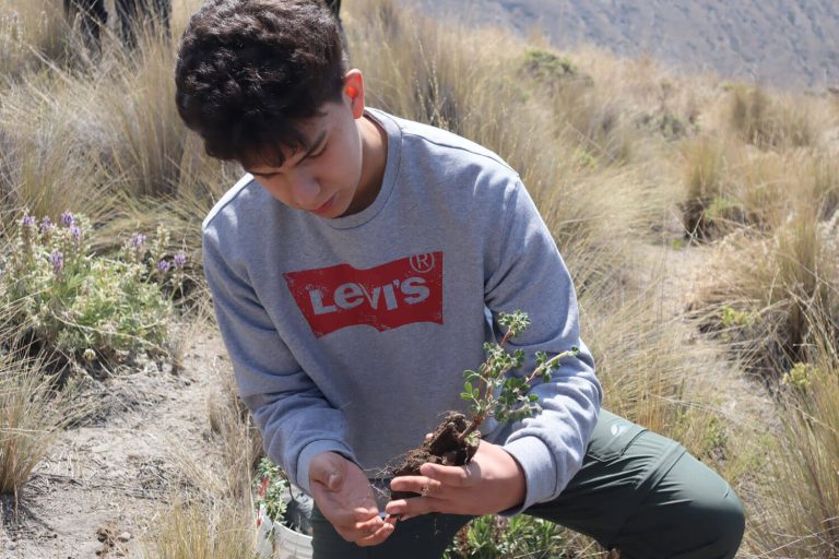 Programa Ambiental 1