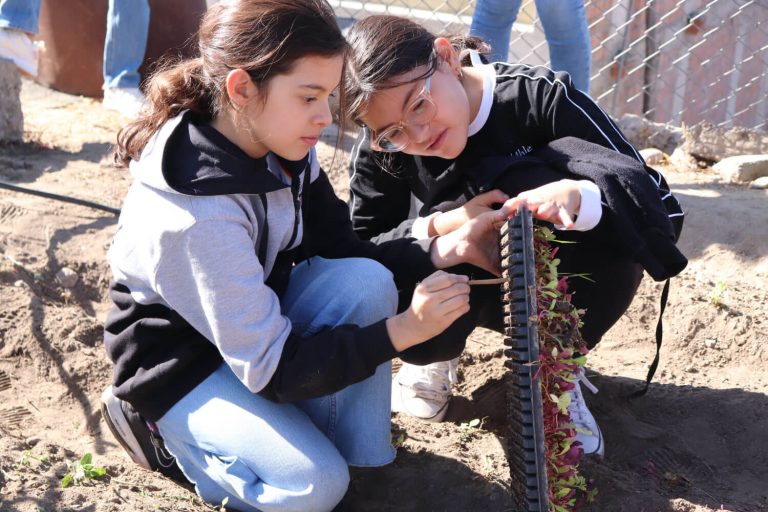Programa Ambiental 2
