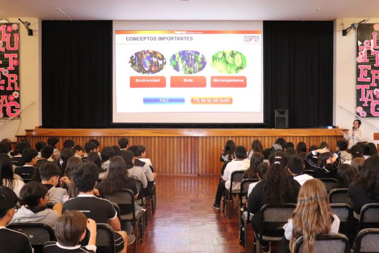 Programa Ambiental 3
