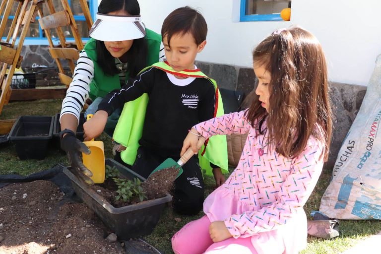 Programa Ambiental 4