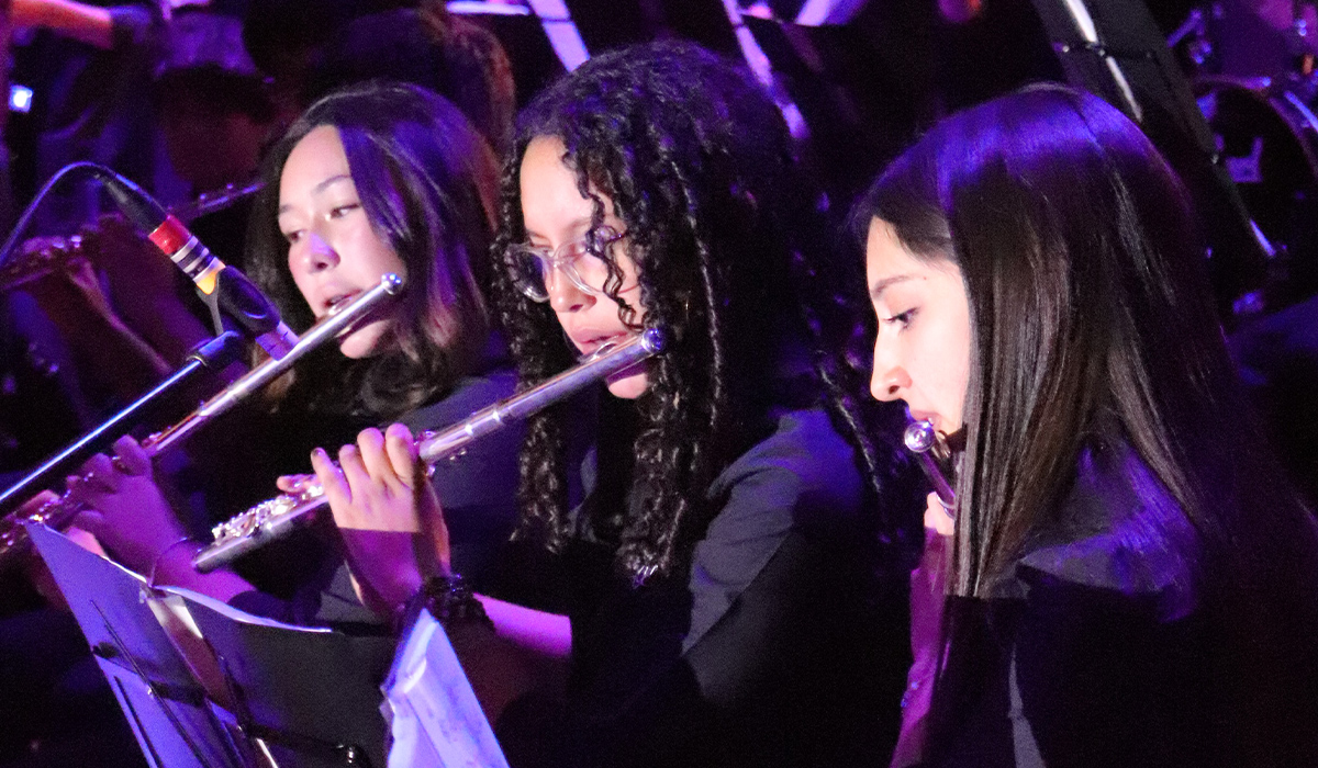 Foto-Concierto-De-Gala-25